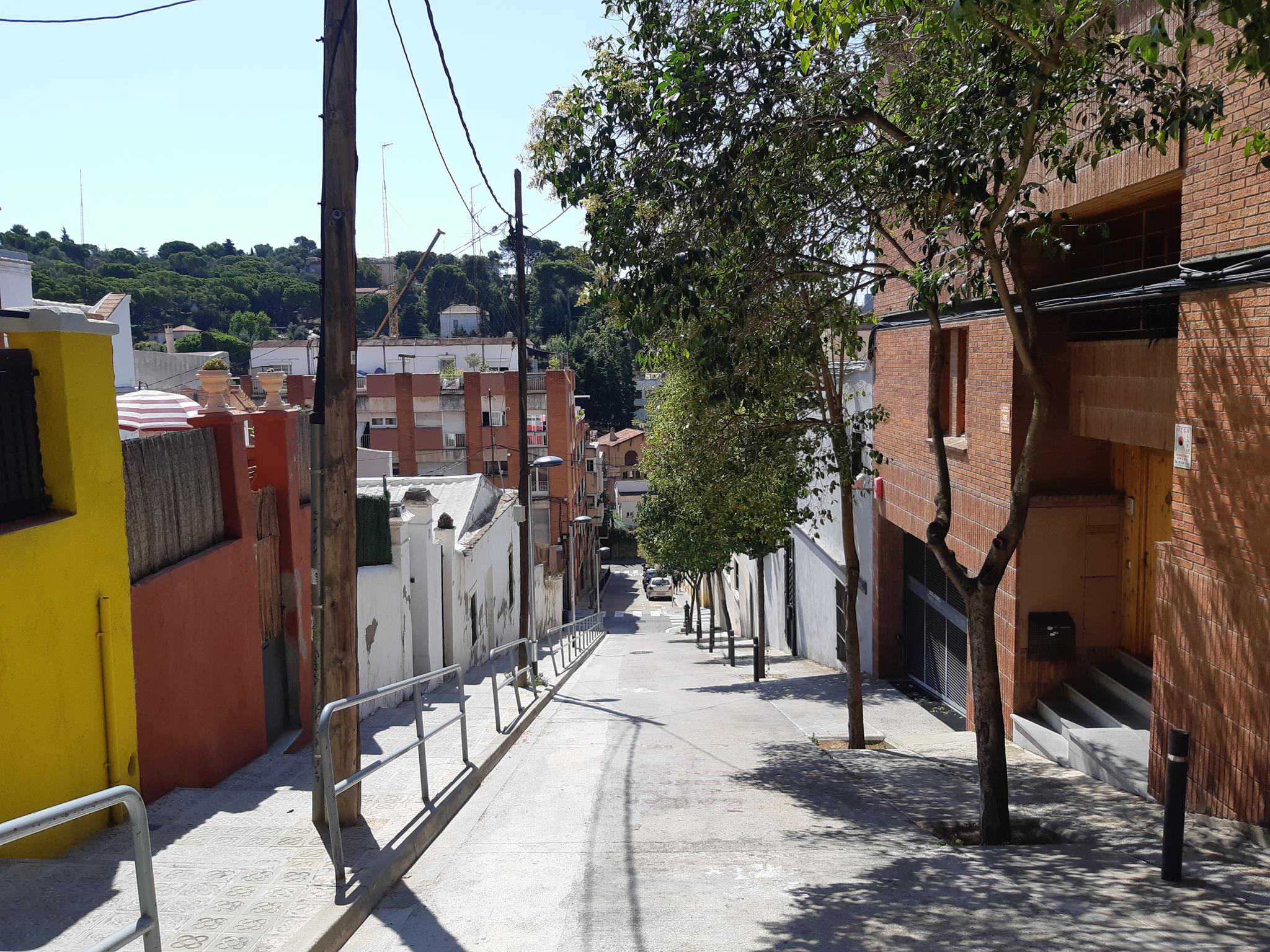 20190802_114459 (Copy).jpg