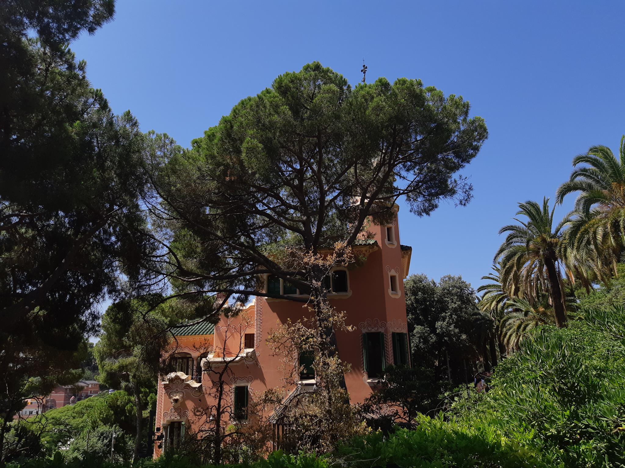 20190802_124008 (Copy).jpg