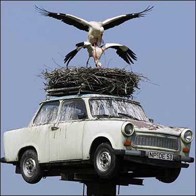 zrobmy-to-na-trabancie (2).jpg