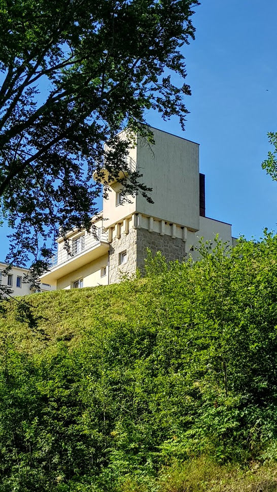 20190629_081533.jpg
