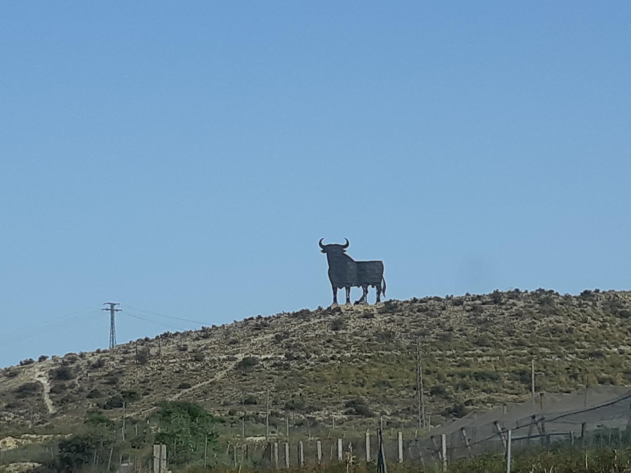 20190803_194434 (Copy).jpg