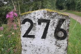 276.jpg