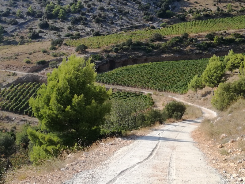 IMG_20180916_160636 (1).jpg