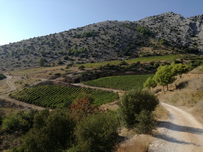 IMG_20180916_160705 (1).jpg