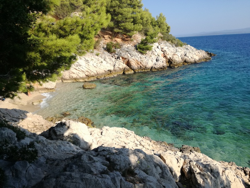 IMG_20180916_163037_2 (1).jpg