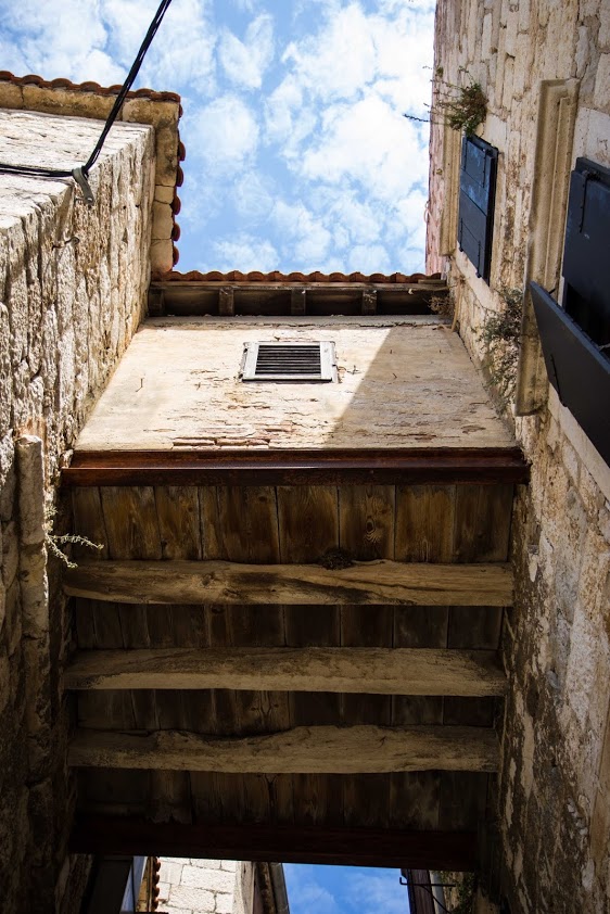 07 koimz.jpg 07 koimz.jpg