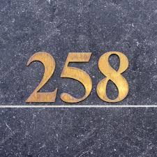 258.jpg