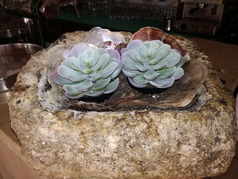 IMG_20180920_134529 (1).jpg