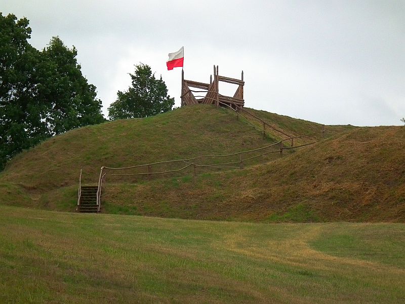 DSCF6795.jpg