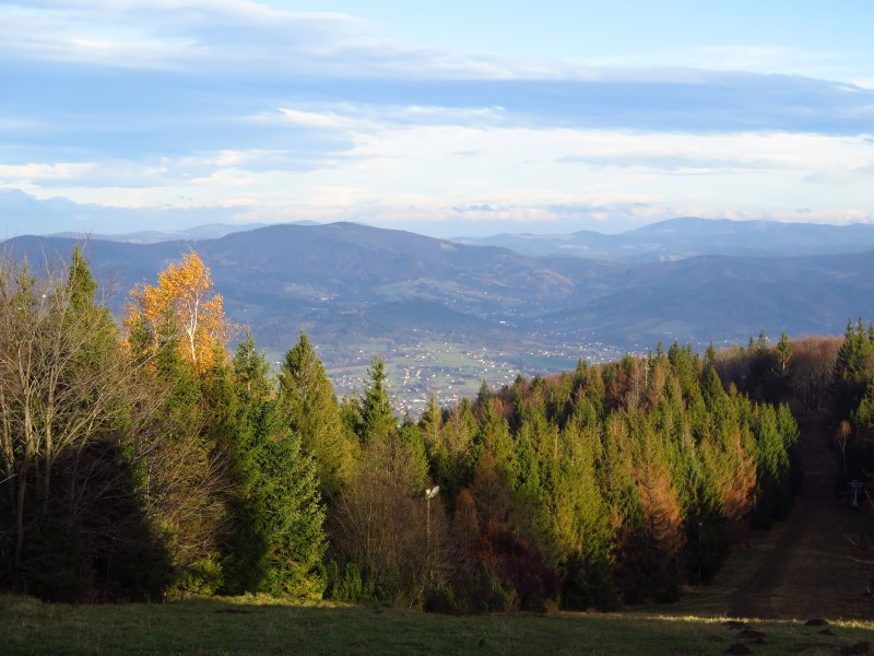 IMG_7251 (Custom).JPG