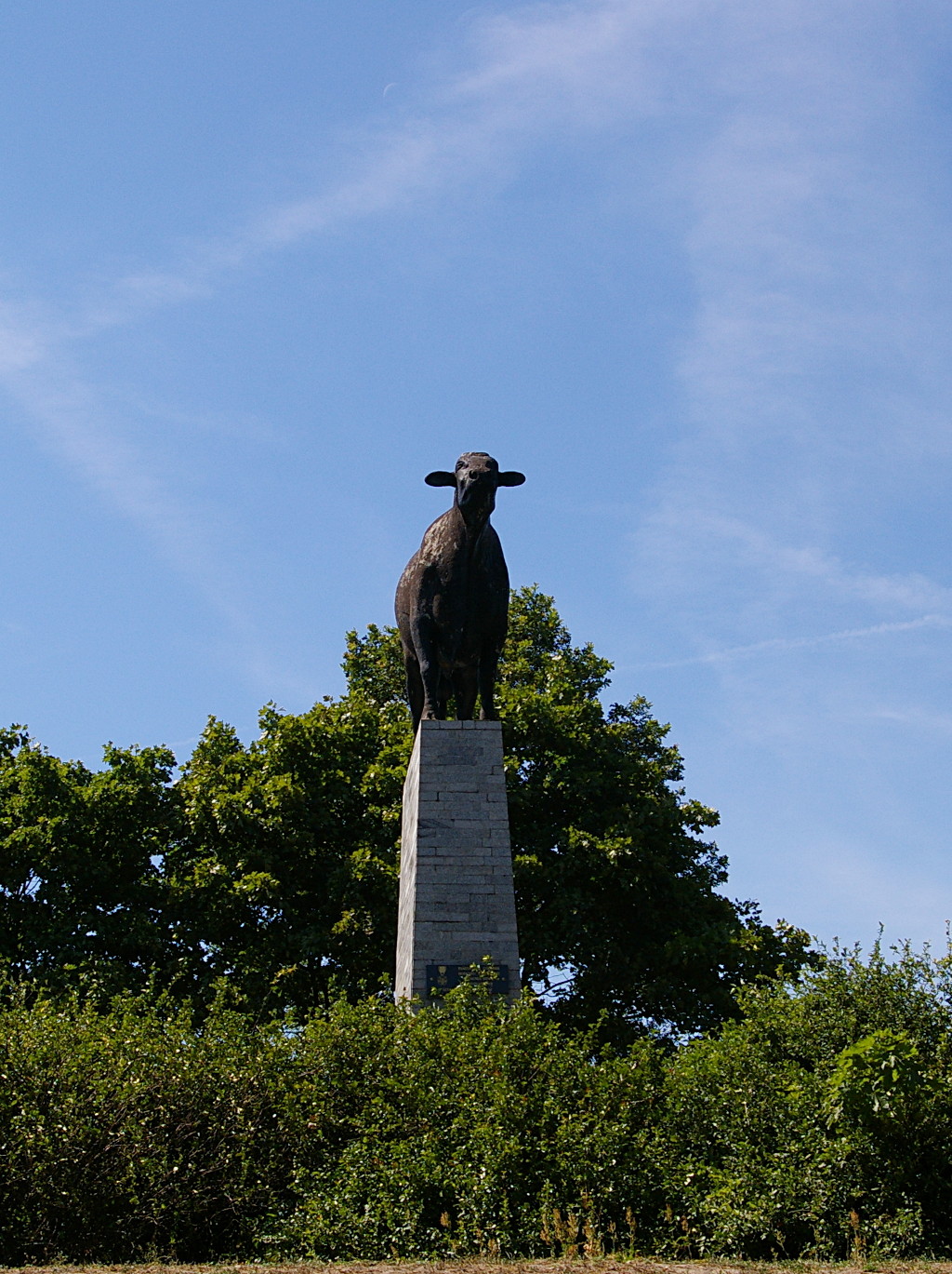 W pionie... / imgp4673a.JPG imgp4673a.JPG