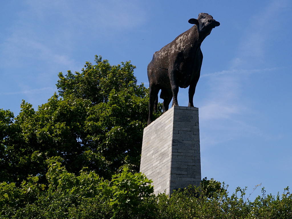 ... i poziomie ;) / imgp4674a.JPG imgp4674a.JPG