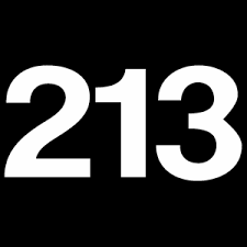 213.png