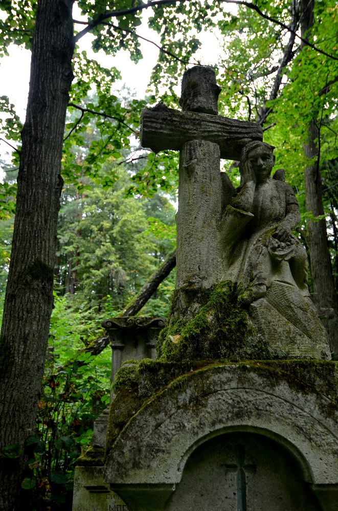 DSC_9106.jpg