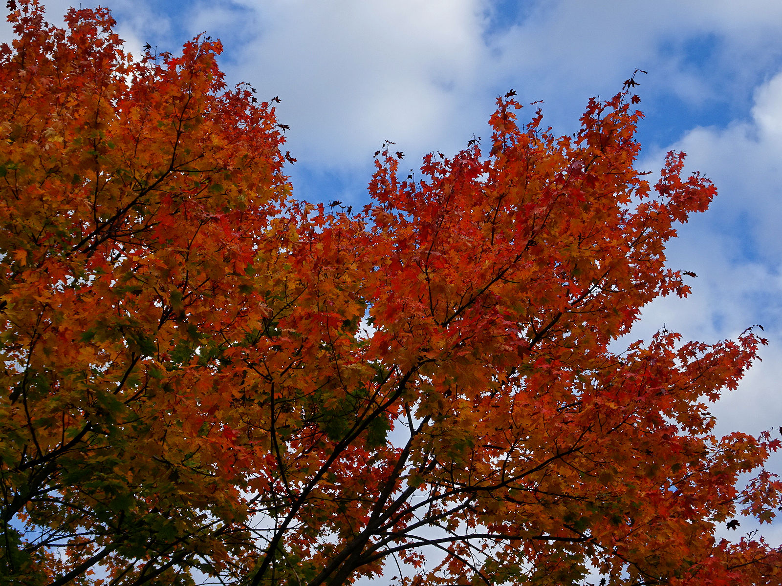 DSC03504.JPG