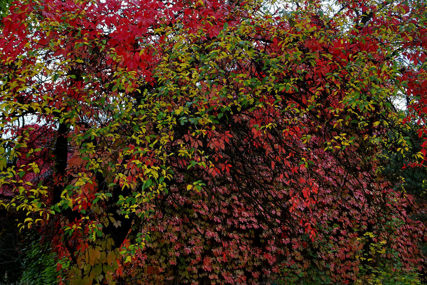 DSC03514.JPG