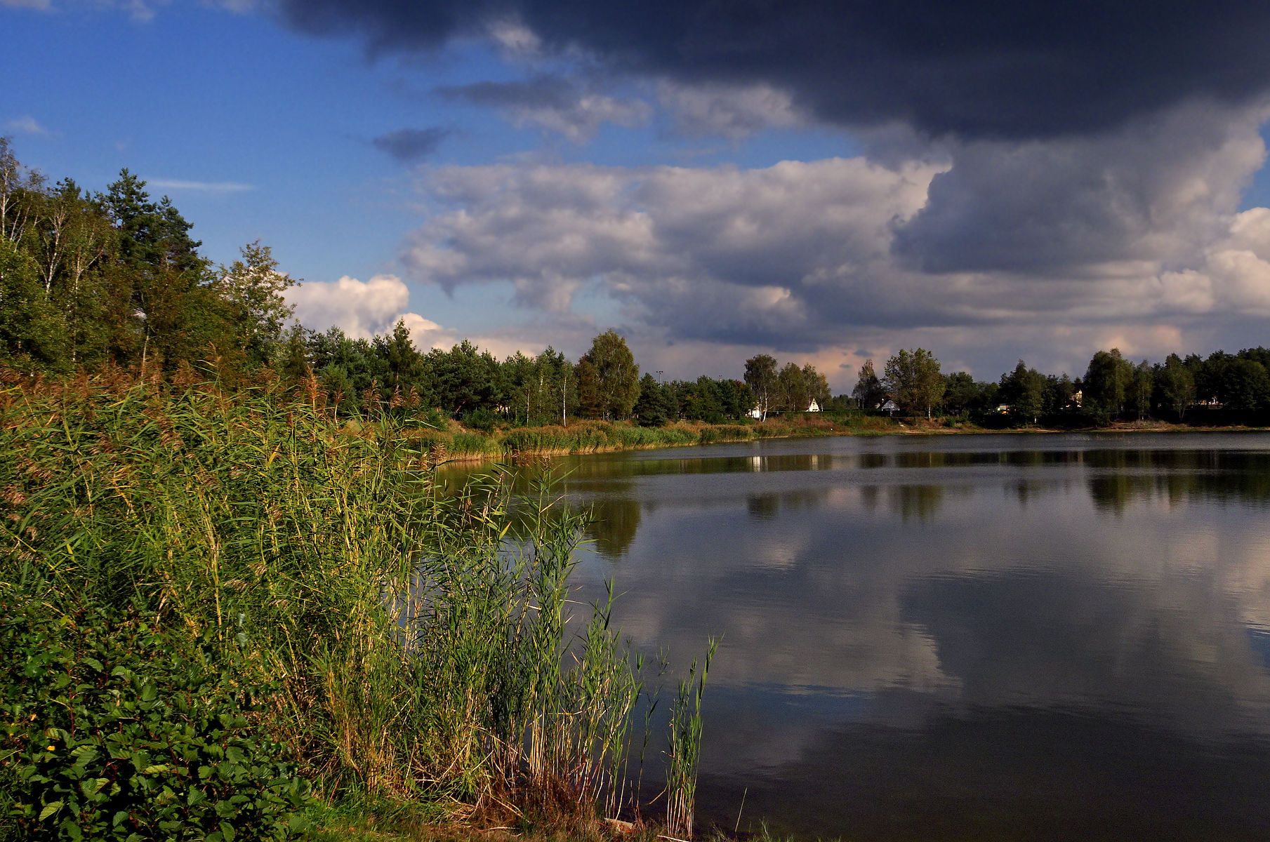 DSC03533.JPG
