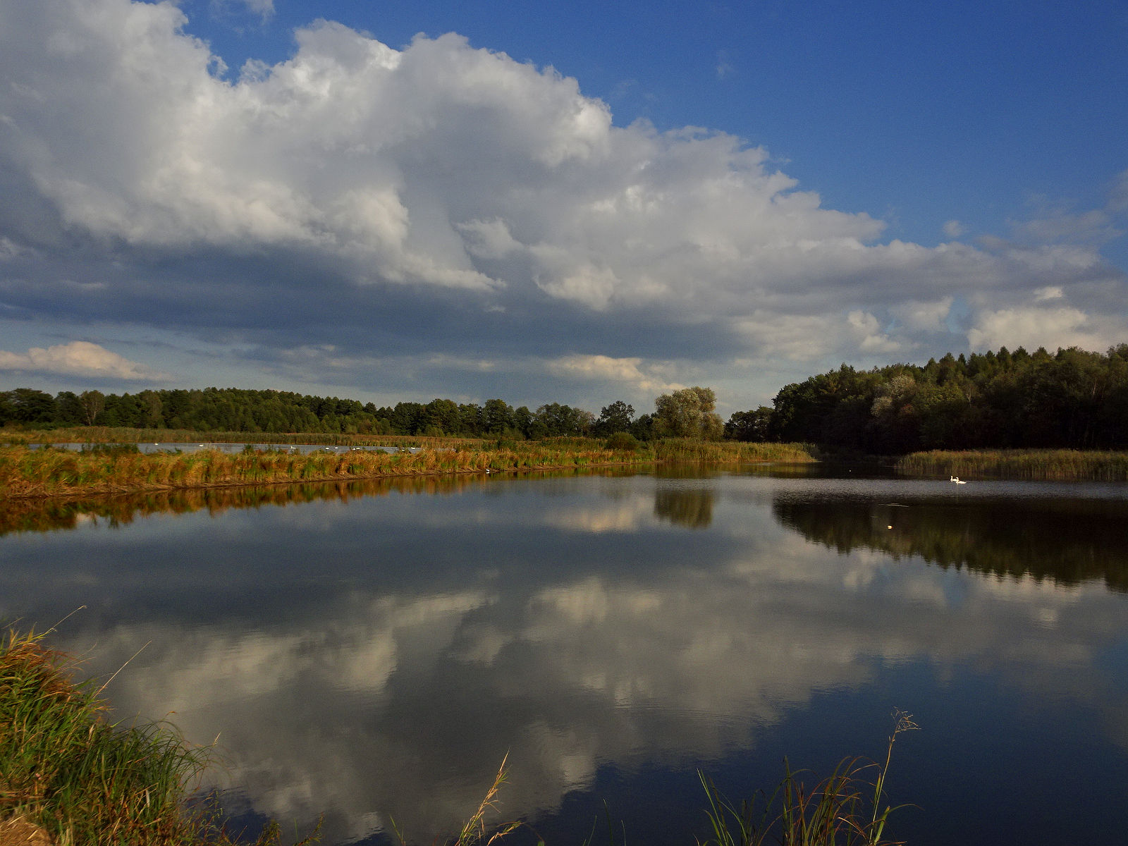 DSC03648.JPG
