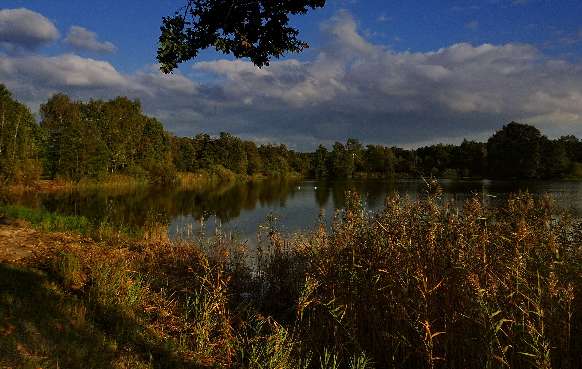 DSC03701.JPG