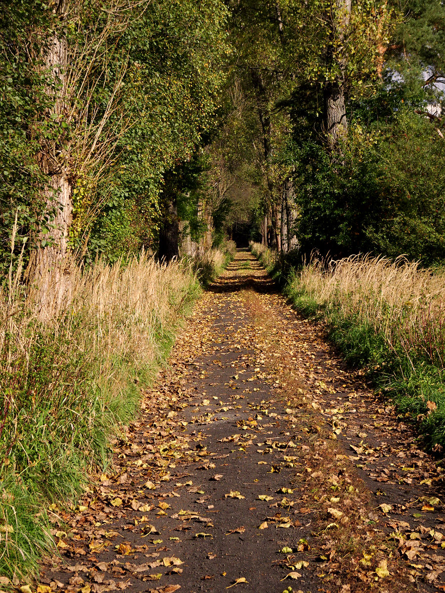 DSC03713.JPG