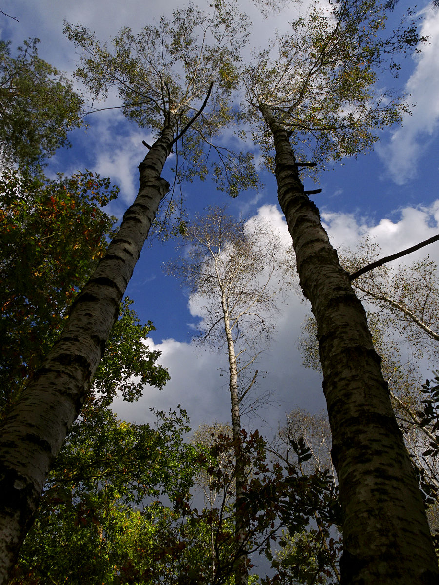 DSC03762.JPG