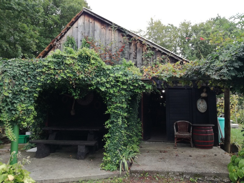 IMG_20180923_105711 (1).jpg