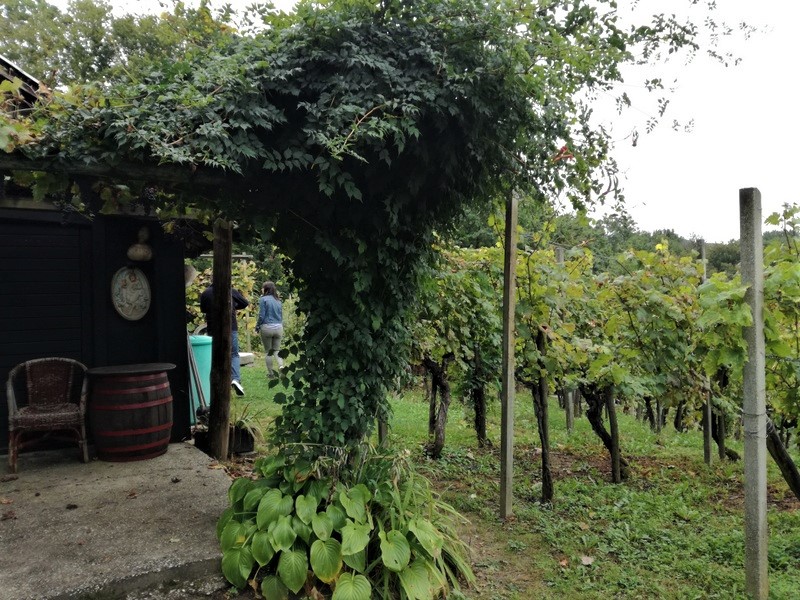 IMG_20180923_105718 (1).jpg