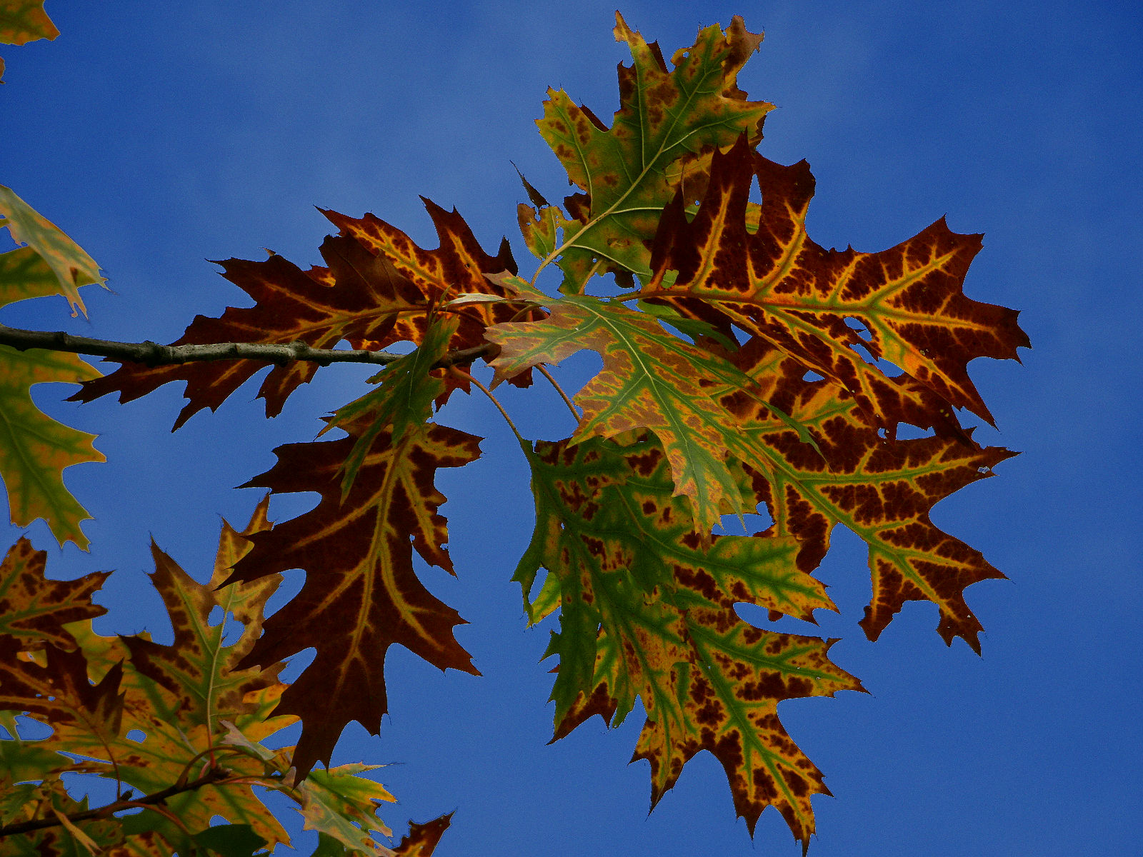 DSC03819.JPG