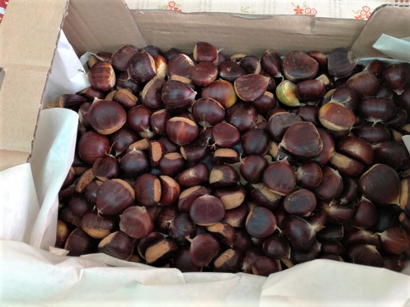 IMG_20180923_125947 (1).jpg