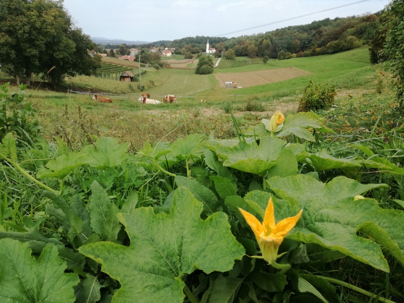 IMG_20180923_155058 (1).jpg