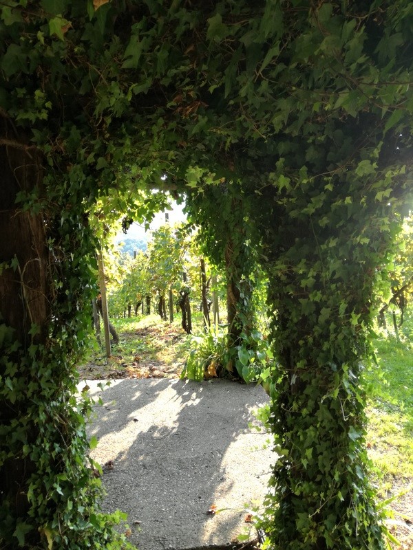 IMG_20180923_163113 (1).jpg