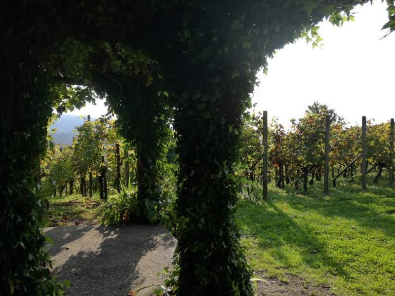 IMG_20180923_163117 (1).jpg