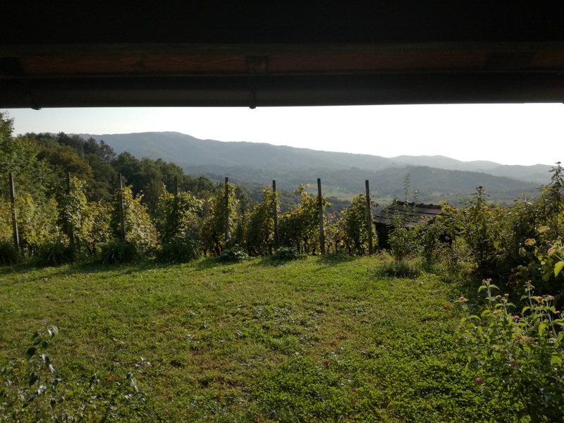 IMG_20180923_165051 (1).jpg