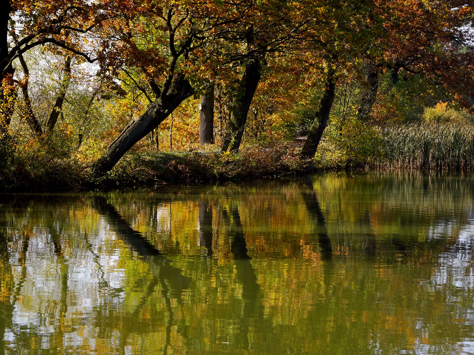 DSC00501.JPG