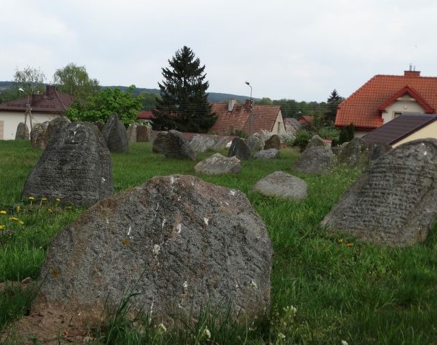 Ż (3) — kopia.JPG