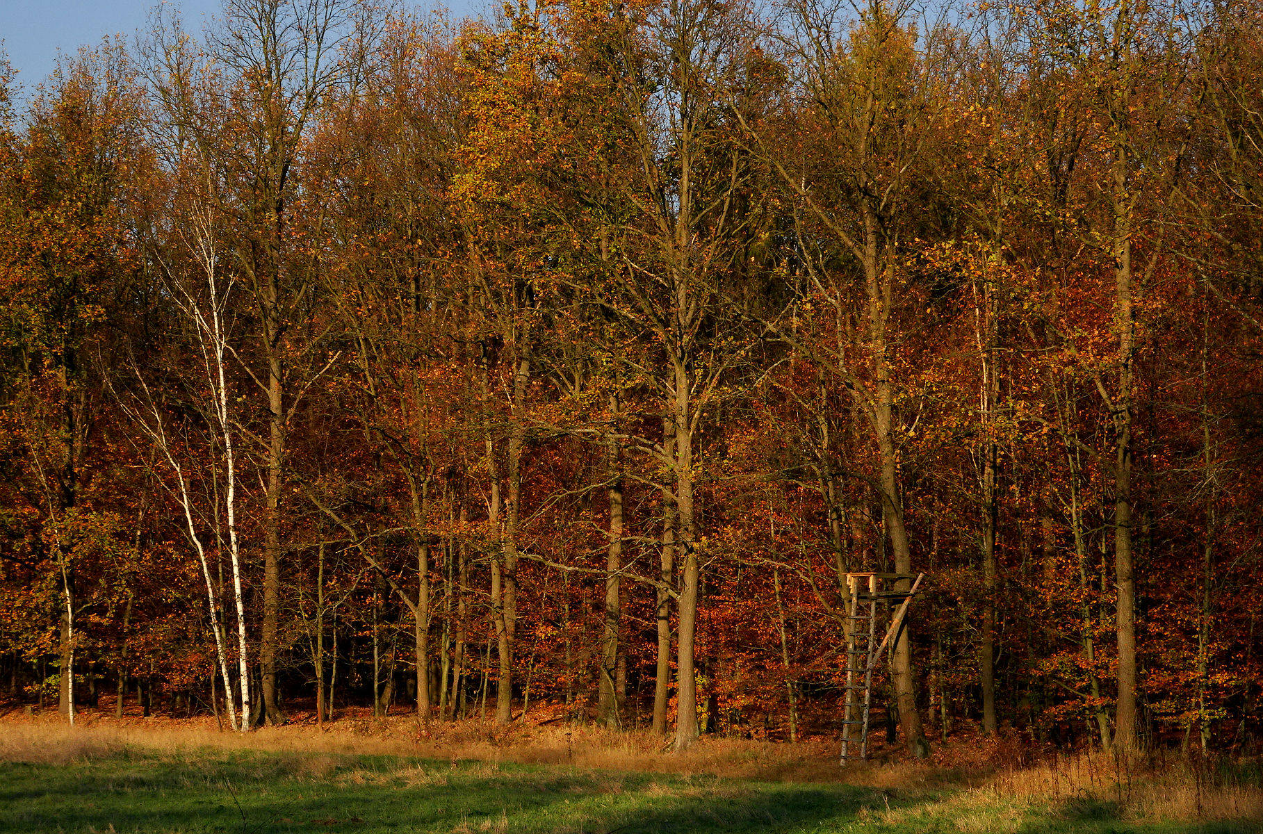 DSC02510.JPG