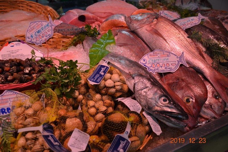 DSC_0695 (Kopiowanie).JPG