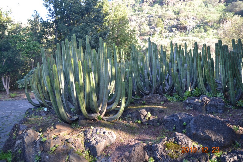 DSC_0834 (Kopiowanie).JPG