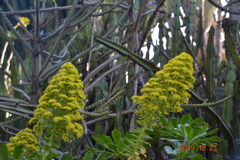 DSC_0840 (Kopiowanie).JPG