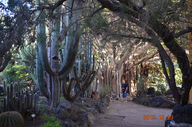 DSC_0849 (Kopiowanie).JPG