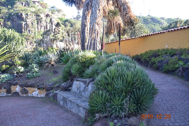 DSC_0851 (Kopiowanie).JPG