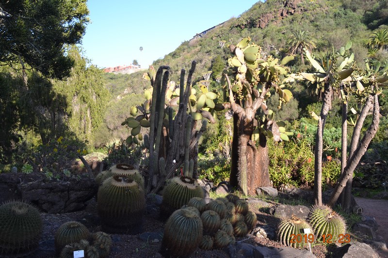 DSC_0860 (Kopiowanie).JPG