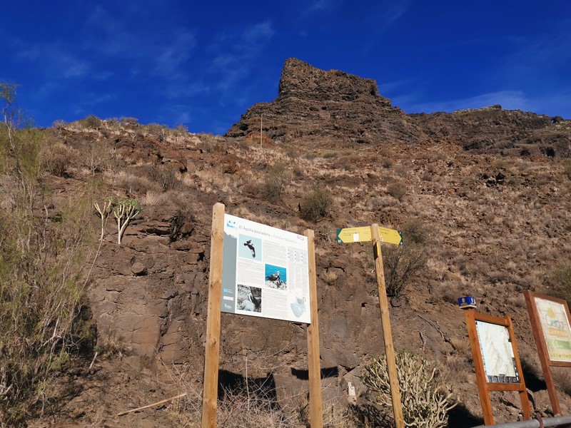 IMG_20191224_100528 (Kopiowanie).jpg