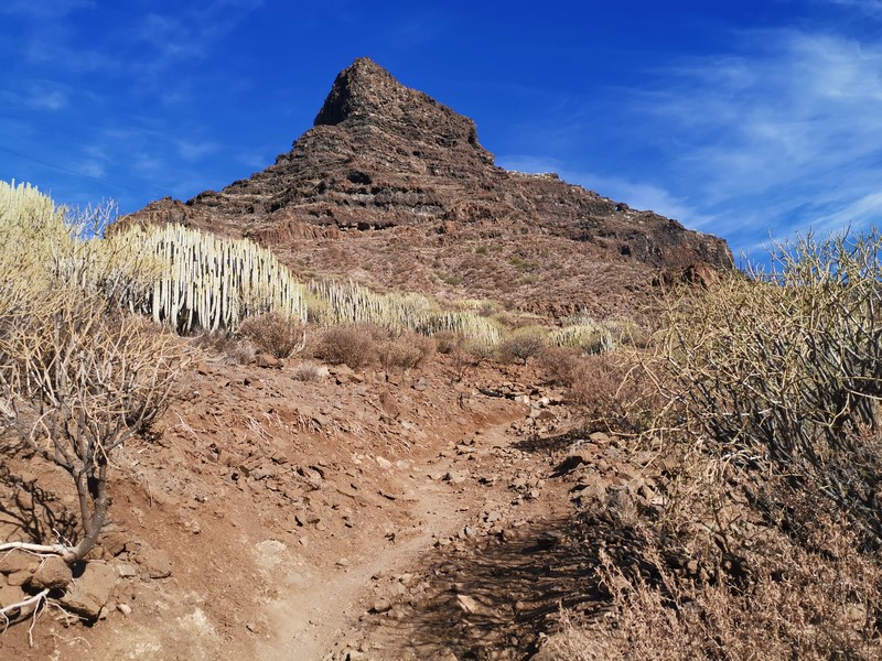 IMG_20191224_100957 (Kopiowanie).jpg