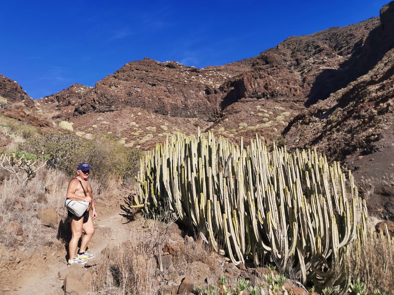 IMG_20191224_102547 (Kopiowanie).jpg