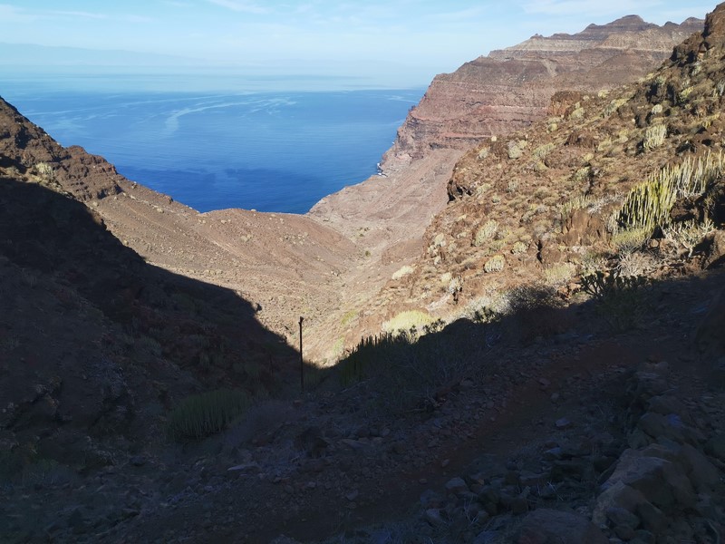 IMG_20191224_114313 (Kopiowanie).jpg