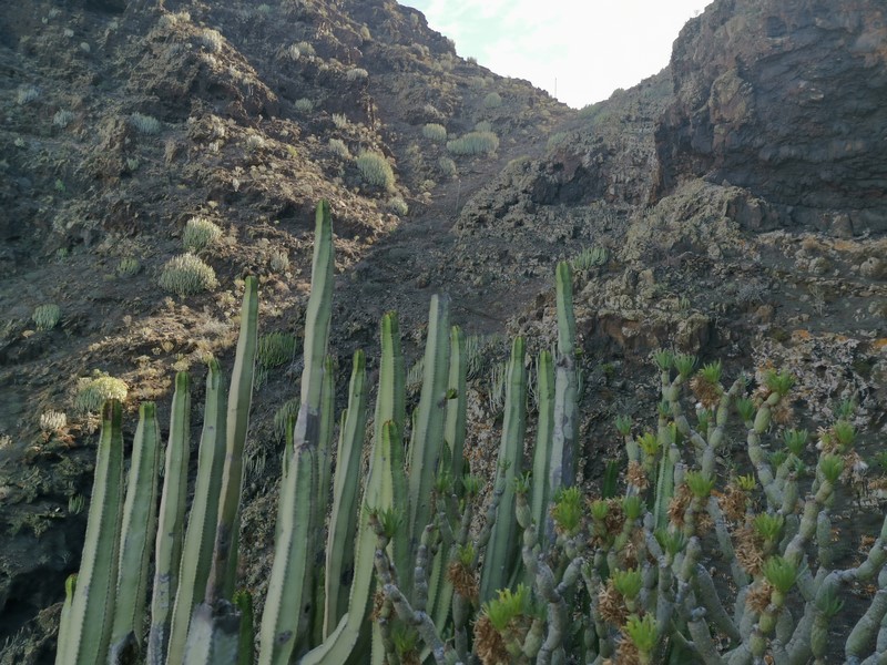 IMG_20191224_114849 (Kopiowanie).jpg