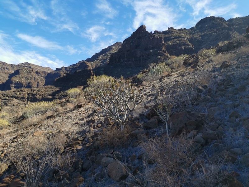 IMG_20191224_121331 (Kopiowanie).jpg