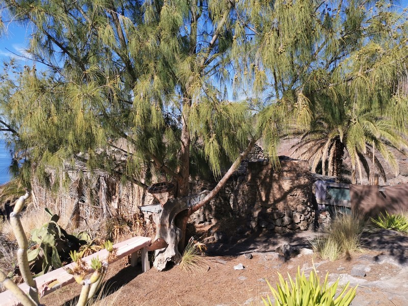 IMG_20191224_124523 (Kopiowanie).jpg