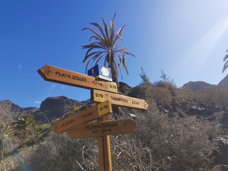 IMG_20191224_125322 (Kopiowanie).jpg